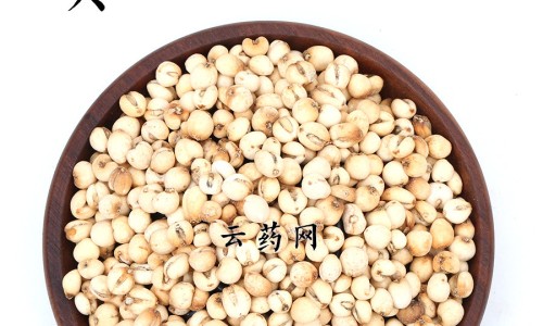 中药桂枝作用常用量网 - 网站提供中药归脾丸的功效与作用小常识、中药归脾丸的功效与作用